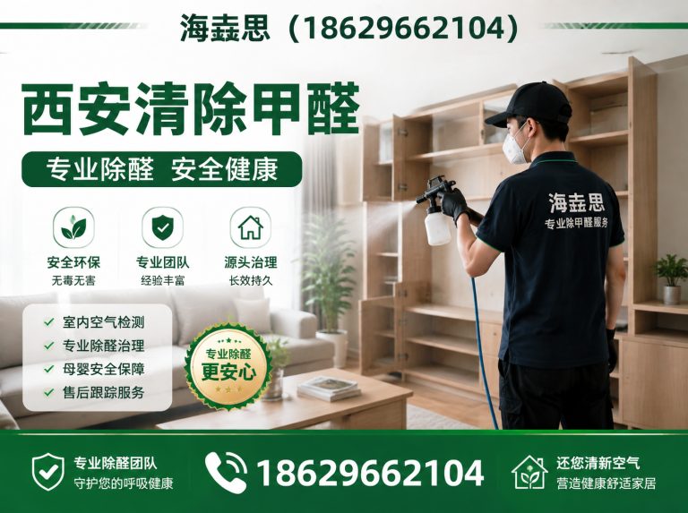 临潼区西安新车甲醛去除展示图